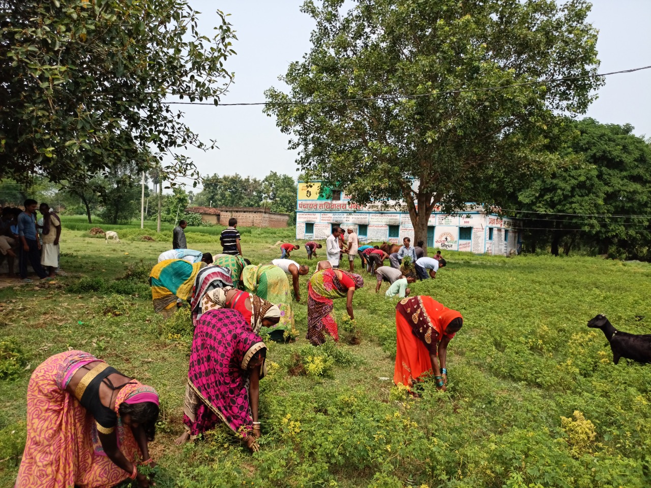 WhatsApp Image 2021-06-14 at 16.52.18